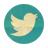 twitter-icon2